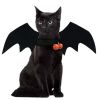 halloween cat clothes bat wings