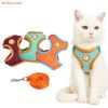 pet cat vest leash
