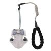 cat leash and bow harness set