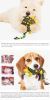 Wholesale colorful turtle molar stick toothbrush dog toys