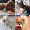 Bite Clean Chew Puppy Toy