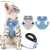 cat leash and bow harness set