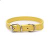 alloy buckle pet dog collar