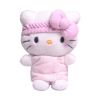 2022 Pokemon Sanrio Plush Toy Gift